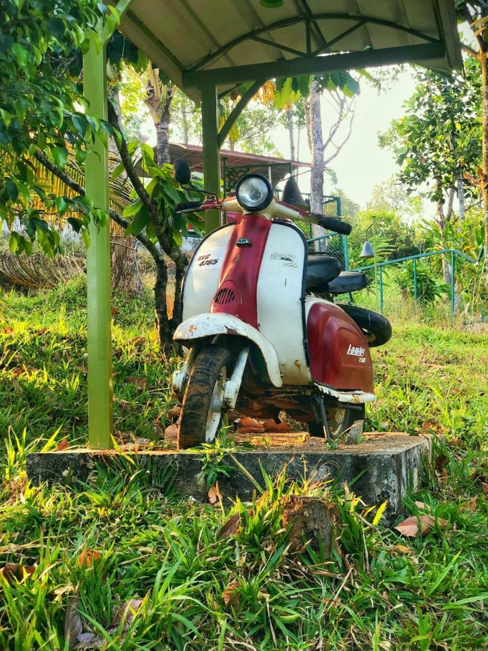 Traditional Villa ムンナール エクステリア 写真